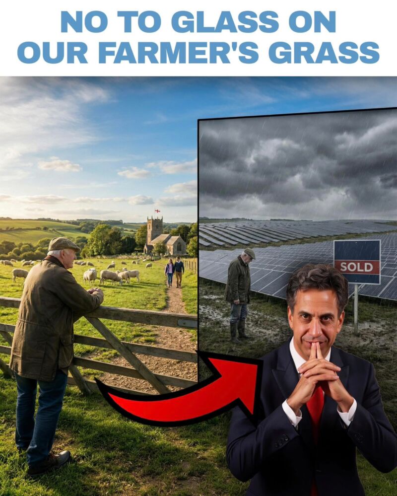 Image for the Tweet beginning: Repost!🙌🏼 